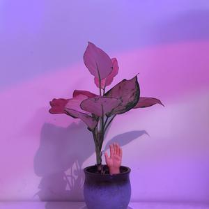 白富美调教视频
